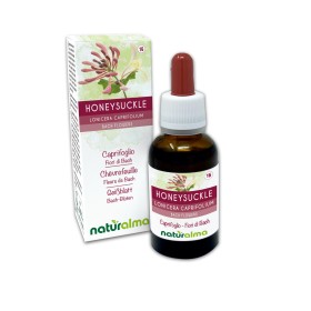 Honeysuckle Fiori emozionali o Fiori di Bach 30 ml liquido analcoolico - Naturalma