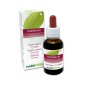 Hornbeam Fleurs émotionnelles ou Fleurs de Bach 30 ml liquide sans alcool - Naturalma