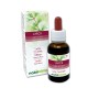 Larch Kwiaty emocji lub Kwiaty Bacha 30 ml płyn bezalkoholowy - Naturalma