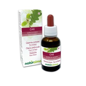 Oak Fleurs émotionnelles ou Fleurs de Bach 30 ml liquide sans alcool - Naturalma