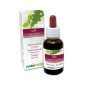 Oak Fiori emozionali o Fiori di Bach 30 ml liquido analcoolico - Naturalma