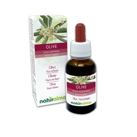 Olive Fleurs émotionnelles ou Fleurs de Bach 30 ml liquide sans alcool - Naturalma