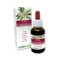 Olive Emotionale Blumen oder Bach-Blüten 30 ml alkoholfreie Flüssigkeit - Naturalma
