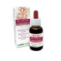 Red chestnut Emotionella blommor eller Bachblommor 30 ml alkoholfri vätska - Naturalma