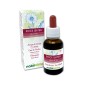 Rock water Emotionella blommor eller Bachblommor 30 ml alkoholfri vätska - Naturalma