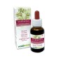 Scleranthus Fiori emozionali o Fiori di Bach 30 ml liquido analcoolico - Naturalma