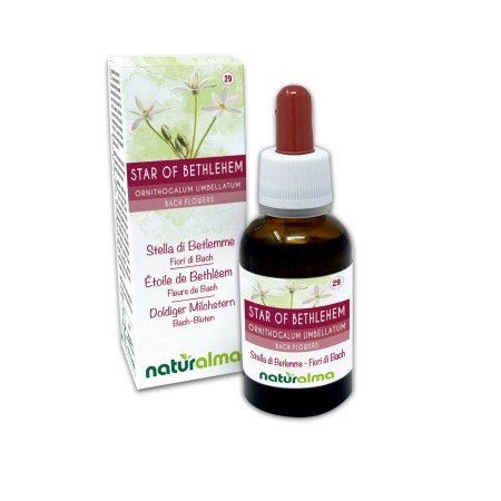 Star of Bethlehem Kwiaty emocji lub Kwiaty Bacha 30 ml płyn bezalkoholowy - Naturalma