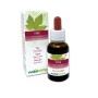 Vine Emotional flowers or Bach flowers 30 ml alcohol-free liquid - Naturalma
