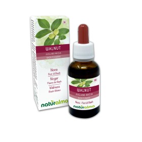 Walnut Emotionale Blumen oder Bach-Blüten 30 ml alkoholfreie Flüssigkeit - Naturalma