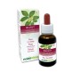 Walnut Flores emocionales o Flores de Bach 30 ml líquido sin alcohol - Naturalma