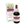 White chestnut Fleurs émotionnelles ou Fleurs de Bach 30 ml liquide sans alcool - Naturalma