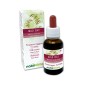 Wild oat Emotionella blommor eller Bachblommor 30 ml alkoholfri vätska - Naturalma