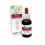 Willow Fiori emozionali o Fiori di Bach 30 ml liquido analcoolico - Naturalma
