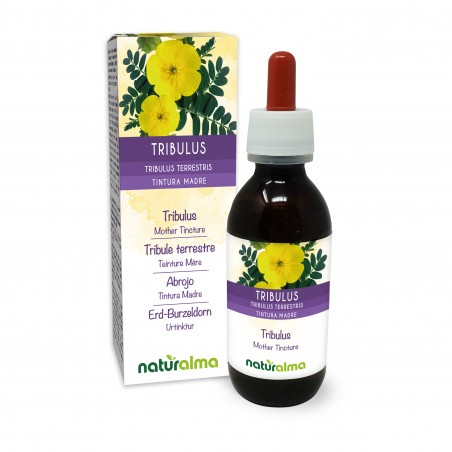 Tribulus Moedertinctuur 120 ml alcoholvrije vloeistof - Naturalma