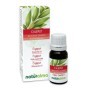 Cajeput Olio essenziale 10 ml