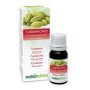 Cardamomo Olio essenziale 10 ml