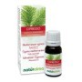 Cipresso Olio essenziale 10 ml