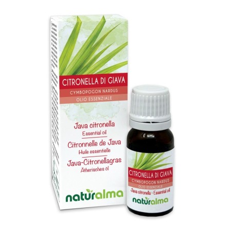 Citronella di Giava Olio essenziale 10 ml