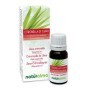 Citronella di Giava Olio essenziale 10 ml