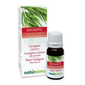 Eucalipto Olio essenziale 10 ml
