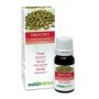 Finocchio Olio essenziale 10 ml