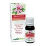Geranio rosa Olio essenziale 10 ml