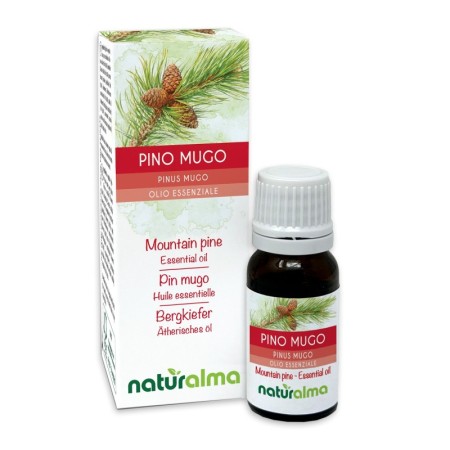 Pino mugo Olio essenziale 10 ml