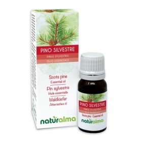 Pino silvestre Olio essenziale 10 ml