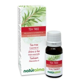 Tea tree Olio essenziale 10 ml