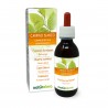 Carpino bianco Gemmoderivato 120 ml liquido analcoolico - Naturalma