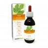 Figuier Gemmo-dérivé 120 ml liquide sans alcool - Naturalma