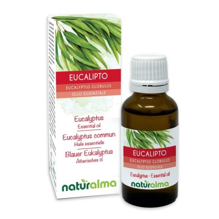 Eucalipto Olio essenziale 30 ml