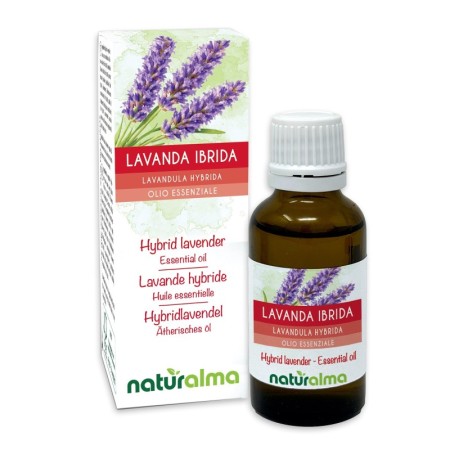 Lavanda ibrida Olio essenziale 30 ml