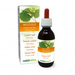 Noisetier commun Gemmo-dérivé 120 ml liquide sans alcool - Naturalma