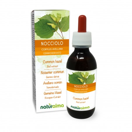 Common hazel Bud extract 120 ml alcohol-free liquid - Naturalma
