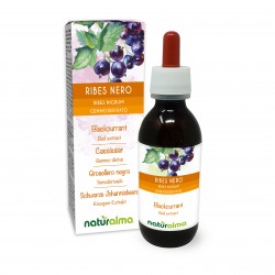 Cassissier Gemmo-dérivé 120 ml liquide sans alcool - Naturalma