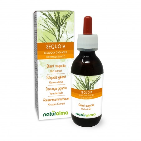 Secuoya gigante Yemoderivado 120 ml líquido sin alcohol - Naturalma