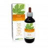 Figuier Gemmo-dérivé 200 ml liquide sans alcool - Naturalma