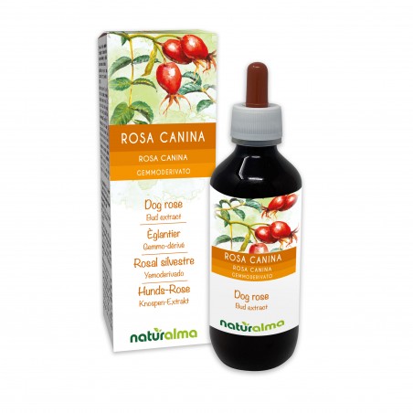 Églantier Gemmo-dérivé 200 ml liquide sans alcool - Naturalma